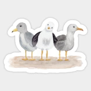 Watercolor Seagulls Sticker